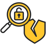 Vulnerability Detection​